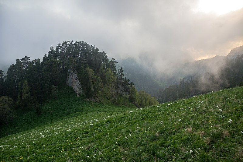 ადიღე